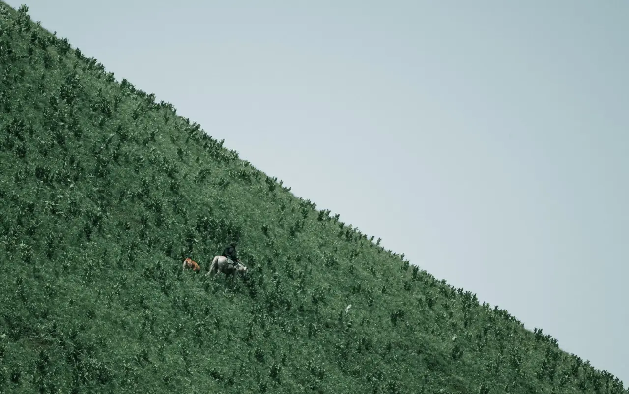 物业巡检打卡与维修管理一体化方案设计要点解析